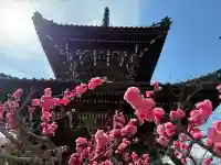 穴太寺の{uncategorized: "未分類", other: "その他", undefined: "問題あり", building: "その他建物", grave: "お墓", sacred_gate: "鳥居", guardian: "狛犬", statue: "像", buddha: "仏像", history: "歴史", nature: "自然", garden: "庭園", animal: "動物", pagoda: "塔", temizu: "手水舎", mountain_gate: "山門・神門", sanctuary: "本殿・本堂", subordinate: "末社・摂社", art: "芸術", scenery: "景色", jizo: "地蔵", ema: "絵馬", goshuin: "御朱印", omikuji: "おみくじ", items: "授与品その他", amulet: "お守り", goshuincho: "御朱印帳", eats: "食事", festival: "お祭り", votive_dance: "神楽", shichigosan: "七五三参", wedding: "結婚式", experience: "体験その他", initially: "初詣", around: "周辺", anti_infection: "感染症対策"}