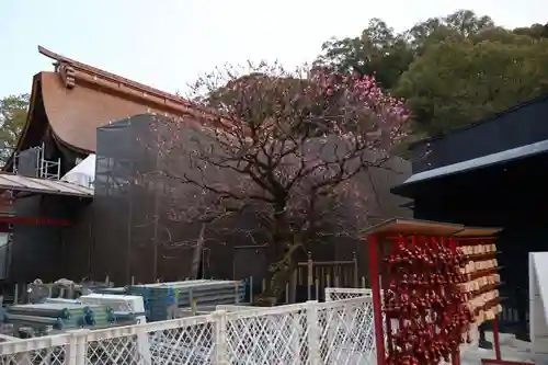太宰府天満宮の自然