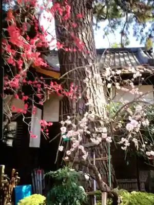 玄国寺(東京都)
