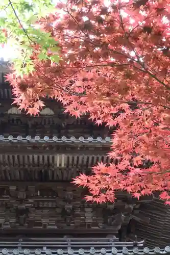 常樂寺の建物その他