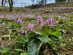 事任八幡宮の自然