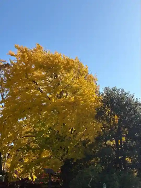 高徳院(神奈川県)