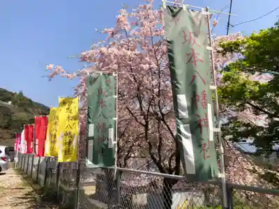 坂本八幡神社(徳島県)