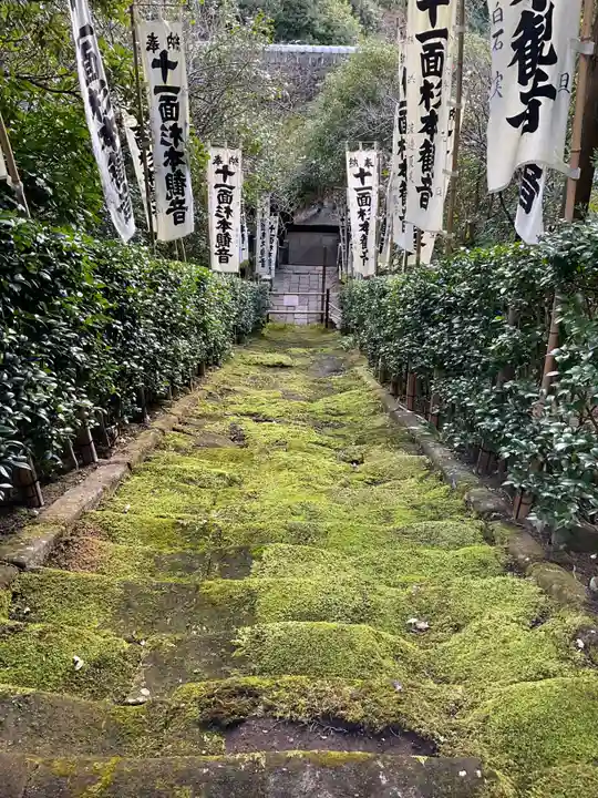 杉本寺の自然