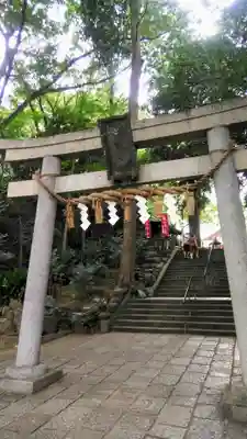 世田谷八幡宮の鳥居