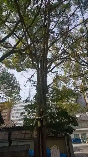 那古野神社の自然