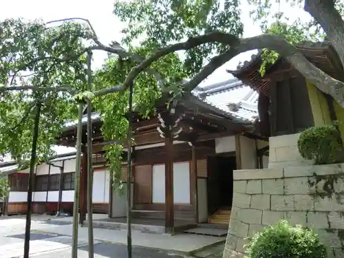 光明寺（粟生光明寺）のその他建物