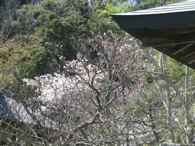 浄光明寺のその他建物