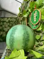 富里香取神社(千葉県)