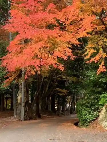 胡宮神社（敏満寺史跡）(滋賀県)
