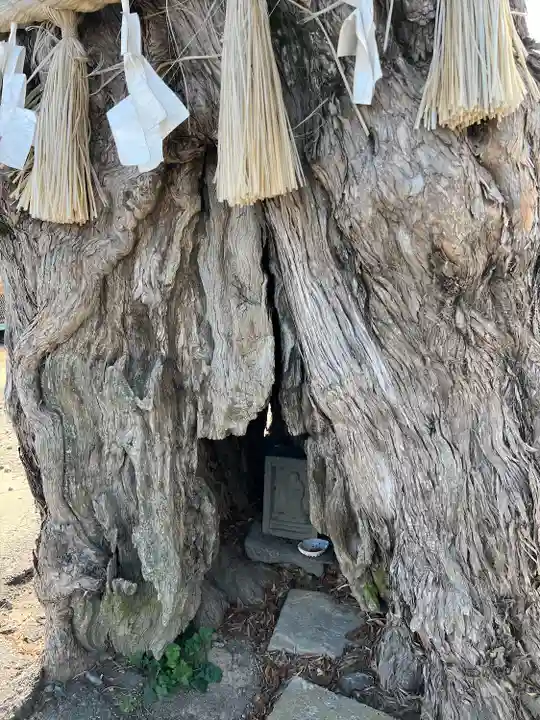 前玉神社(埼玉県)