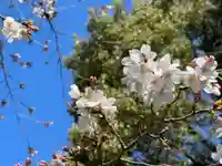手力雄神社の自然