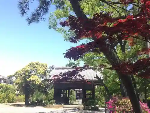 大雲寺の山門