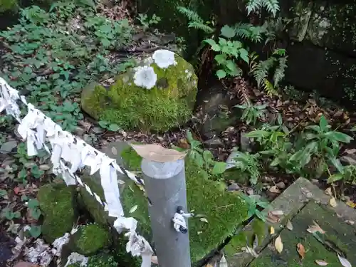 白山神社の自然
