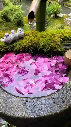 柳谷観音　楊谷寺(京都府)