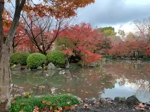 東寺（教王護国寺）の庭園