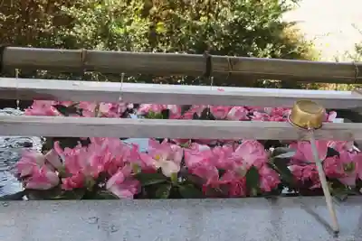 豊景神社の手水舎