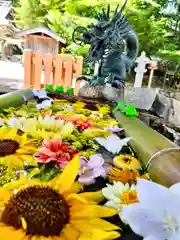 立志神社の手水