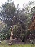 春日神社(京都府)