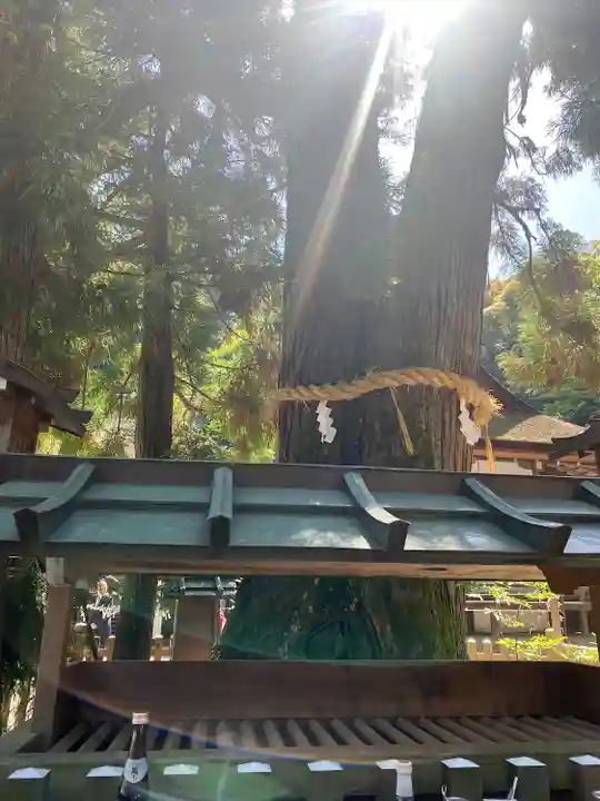 大神神社(奈良県)