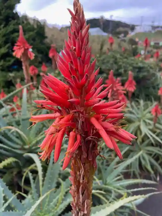 諸口神社(静岡県)