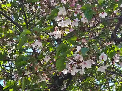 元町厳島神社(神奈川県)