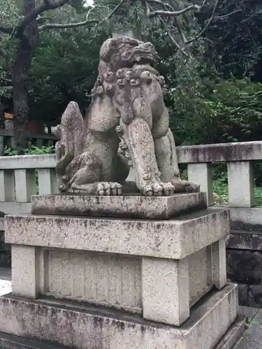 乃木神社の狛犬
