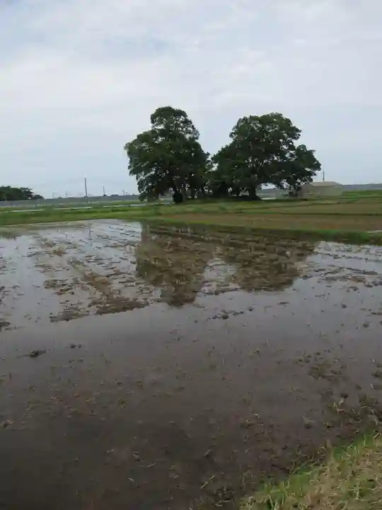 神明神社(千葉県)