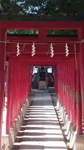 花園神社の鳥居