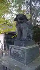 錦山天満宮の狛犬