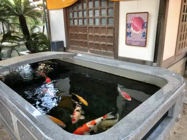 大聖観音寺(あびこ観音)(大阪府)