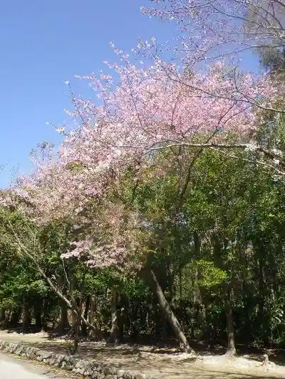 鶴岡八幡宮の自然