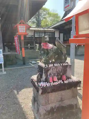 尾曳稲荷神社の狛犬