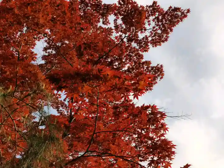 平安神宮(京都府)