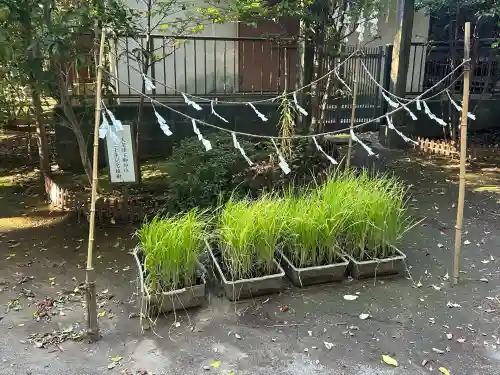 氷川女體神社(埼玉県)