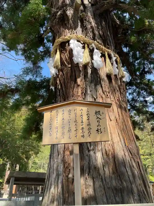 諏訪大社下社秋宮の{uncategorized: "未分類", other: "その他", undefined: "問題あり", building: "その他建物", grave: "お墓", sacred_gate: "鳥居", guardian: "狛犬", statue: "像", buddha: "仏像", history: "歴史", nature: "自然", garden: "庭園", animal: "動物", pagoda: "塔", temizu: "手水舎", mountain_gate: "山門・神門", sanctuary: "本殿・本堂", subordinate: "末社・摂社", art: "芸術", scenery: "景色", jizo: "地蔵", ema: "絵馬", goshuin: "御朱印", omikuji: "おみくじ", items: "授与品その他", amulet: "お守り", goshuincho: "御朱印帳", eats: "食事", festival: "お祭り", votive_dance: "神楽", shichigosan: "七五三参", wedding: "結婚式", experience: "体験その他", initially: "初詣", around: "周辺", anti_infection: "感染症対策"}