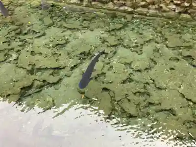 鑁阿寺(栃木県)