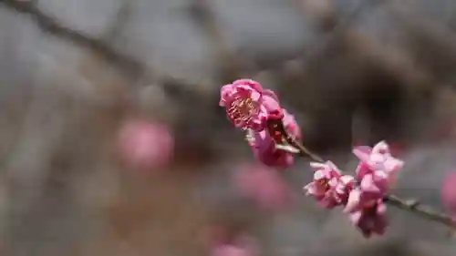 毘沙門堂門跡(京都府)
