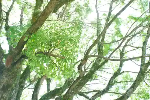 祇園神社(兵庫県)