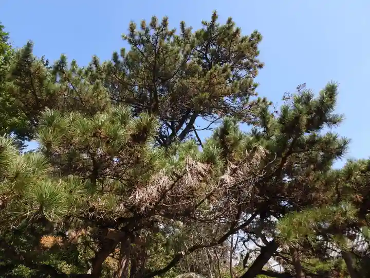 霊山寺(徳島県)