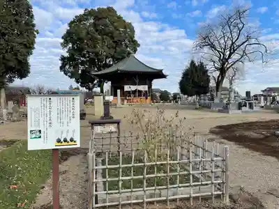 下野薬師寺 (旧 安國寺)(栃木県)
