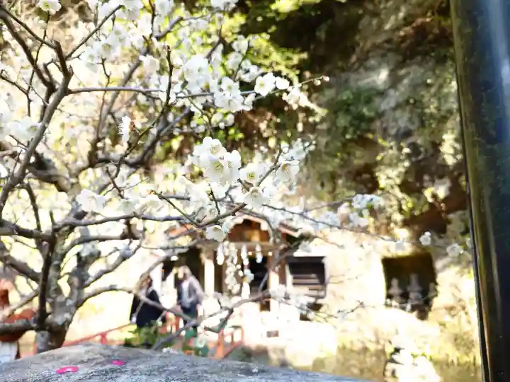 銭洗弁財天宇賀福神社の{uncategorized: "未分類", other: "その他", undefined: "問題あり", building: "その他建物", grave: "お墓", sacred_gate: "鳥居", guardian: "狛犬", statue: "像", buddha: "仏像", history: "歴史", nature: "自然", garden: "庭園", animal: "動物", pagoda: "塔", temizu: "手水舎", mountain_gate: "山門・神門", sanctuary: "本殿・本堂", subordinate: "末社・摂社", art: "芸術", scenery: "景色", jizo: "地蔵", ema: "絵馬", goshuin: "御朱印", omikuji: "おみくじ", items: "授与品その他", amulet: "お守り", goshuincho: "御朱印帳", eats: "食事", festival: "お祭り", votive_dance: "神楽", shichigosan: "七五三参", wedding: "結婚式", experience: "体験その他", initially: "初詣", around: "周辺", anti_infection: "感染症対策"}