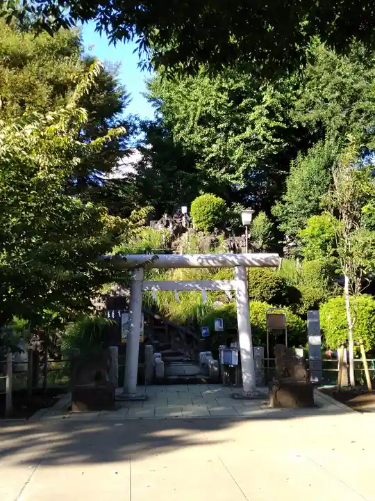鳩森八幡神社の鳥居