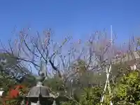 常栄寺の自然