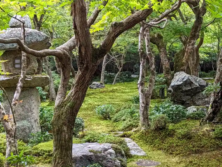 圓光寺(京都府)