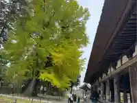 新宮熊野神社(福島県)