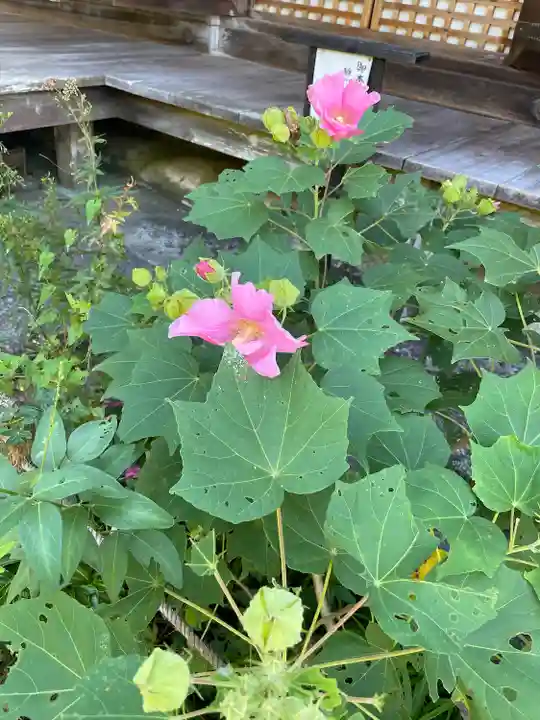 浄瑠璃寺(京都府)