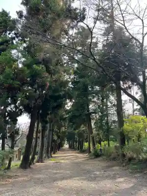 千代ケ岡八幡宮(栃木県)