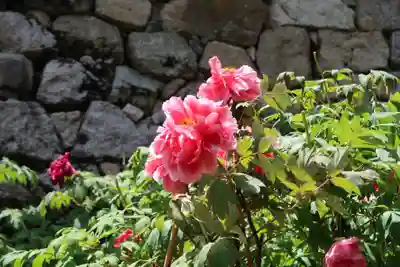 長谷寺(奈良県)