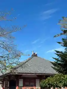 浄土寺(兵庫県)(2024年10月13日(日) 06時50分29秒投稿)